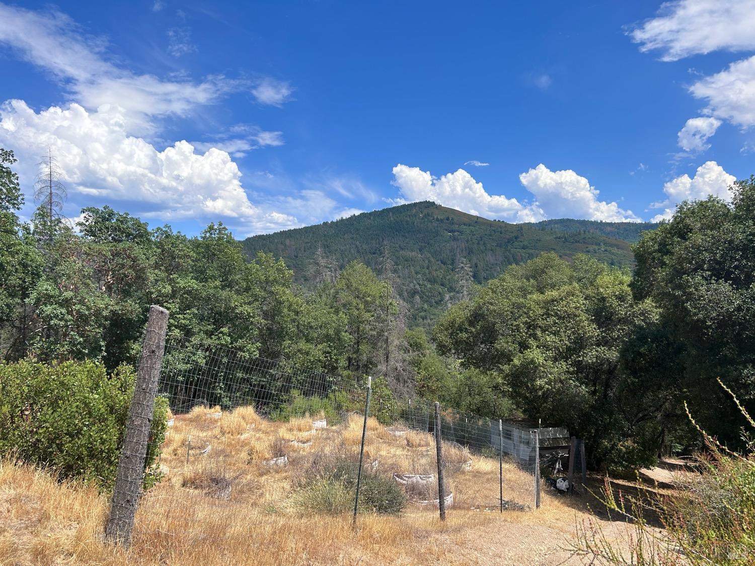 73046 Hill Road Covelo CA 95428
