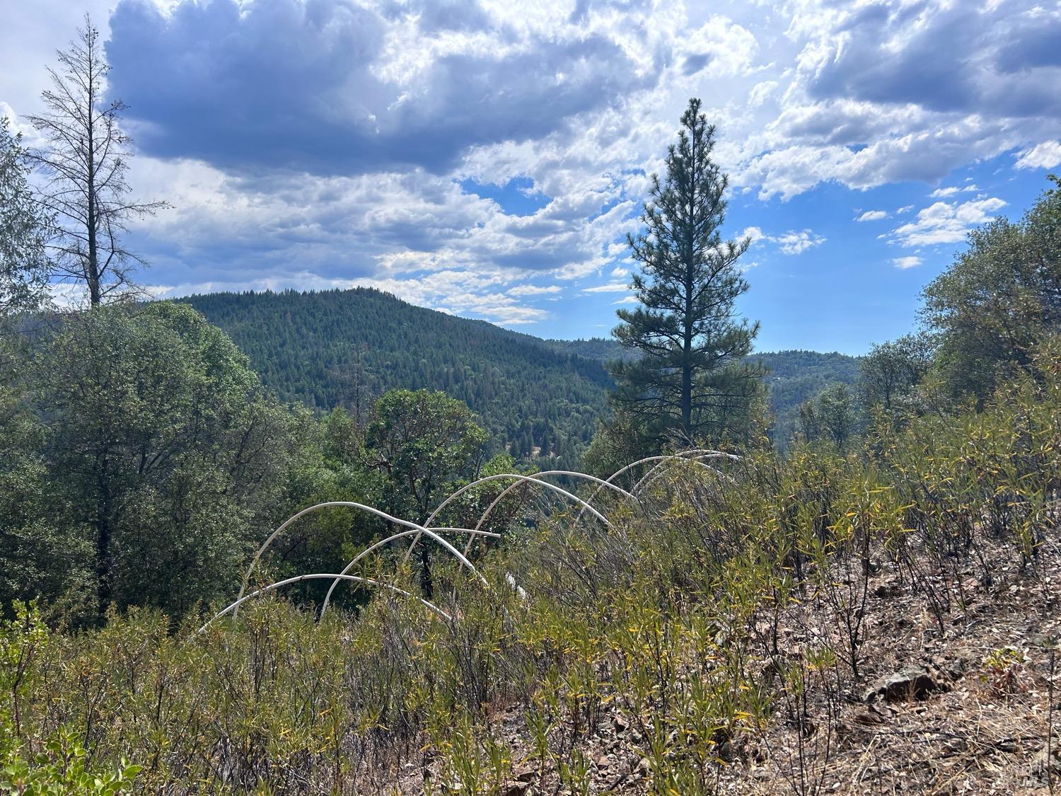 73046 Hill Road Covelo CA 95428