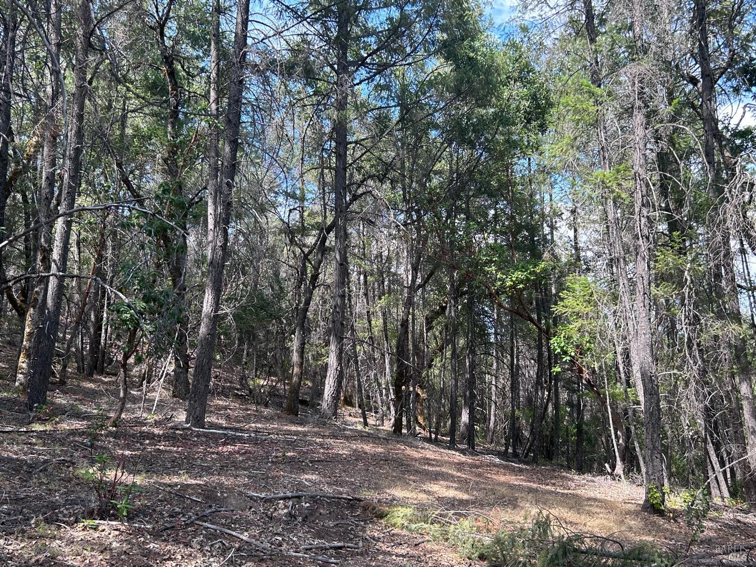 73046 Hill Road Covelo CA 95428