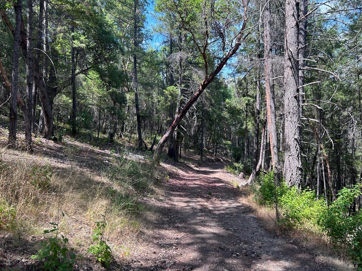 73046 Hill Road Covelo CA 95428