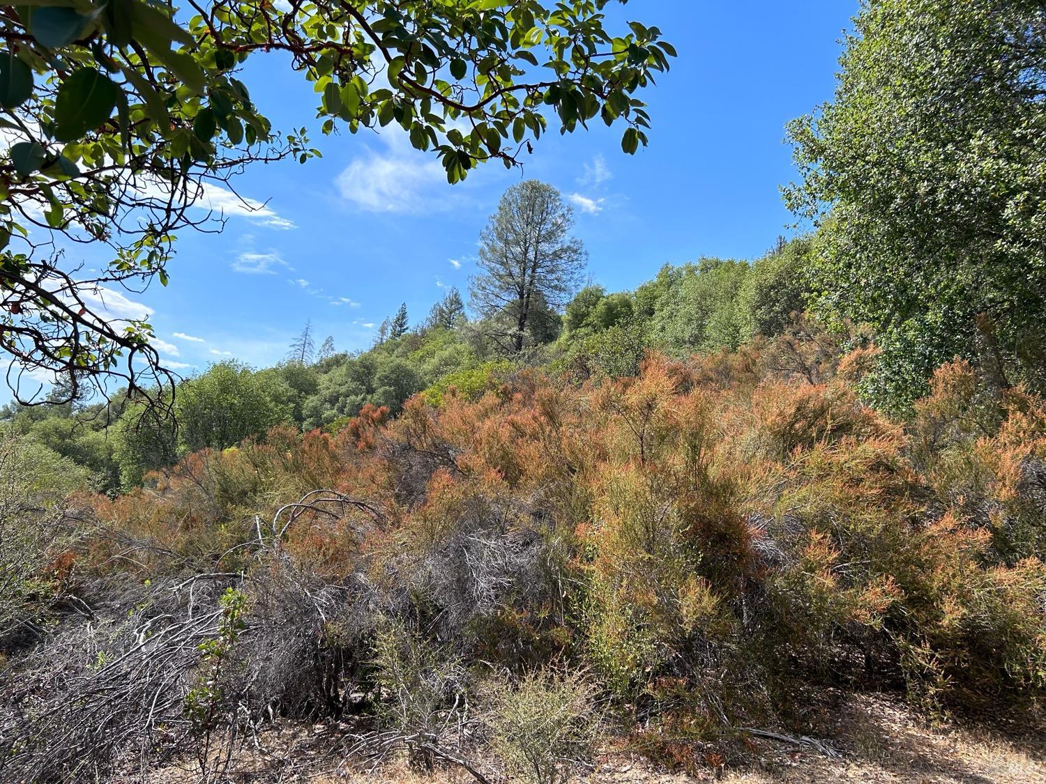 73046 Hill Road Covelo CA 95428