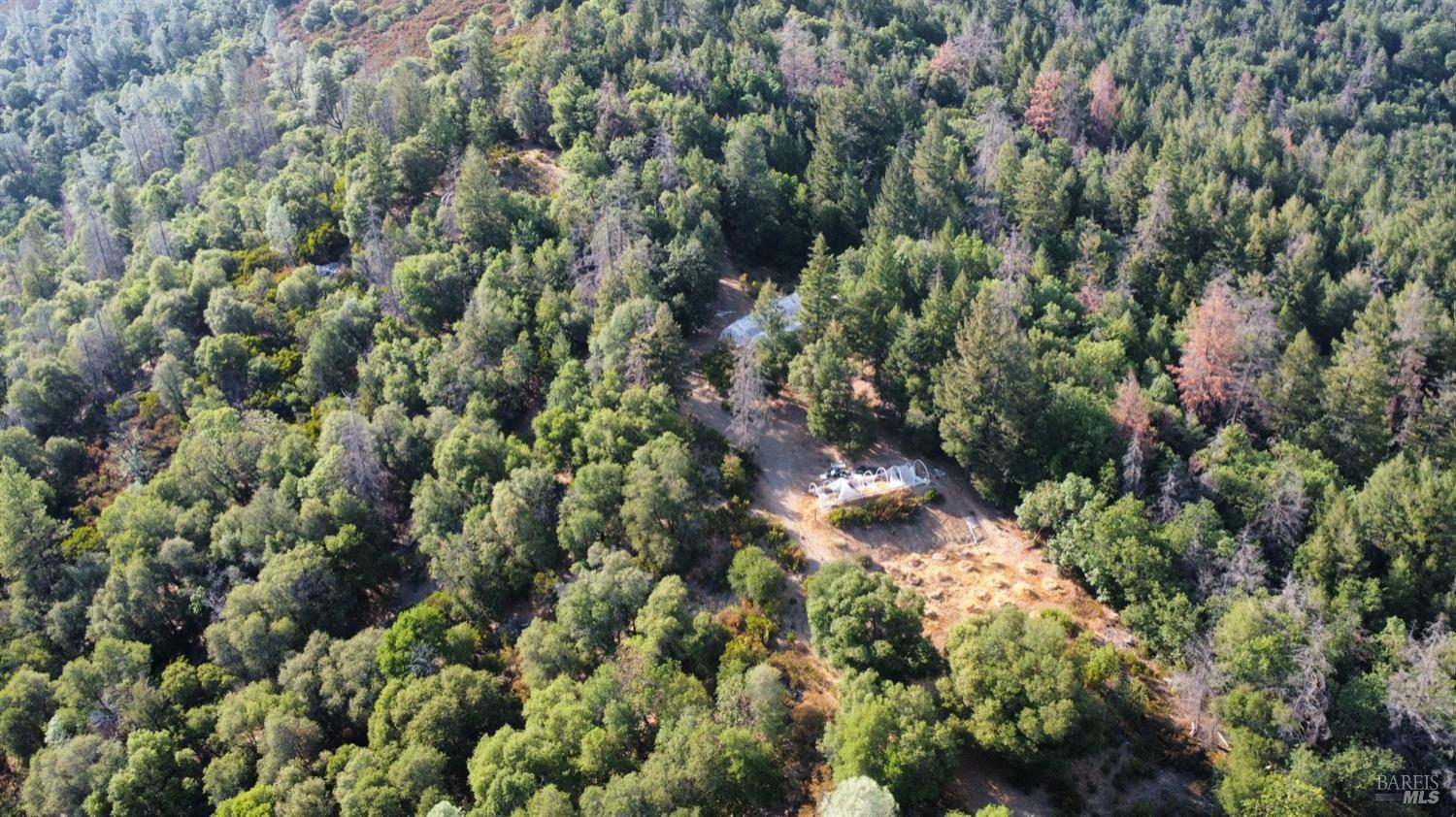 73046 Hill Road Covelo CA 95428