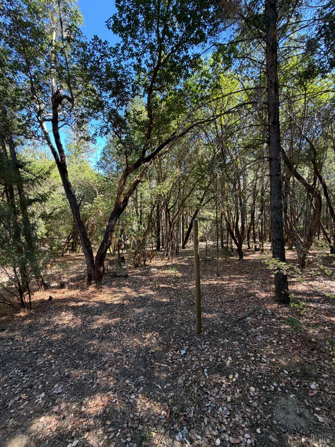 73046 Hill Road Covelo CA 95428