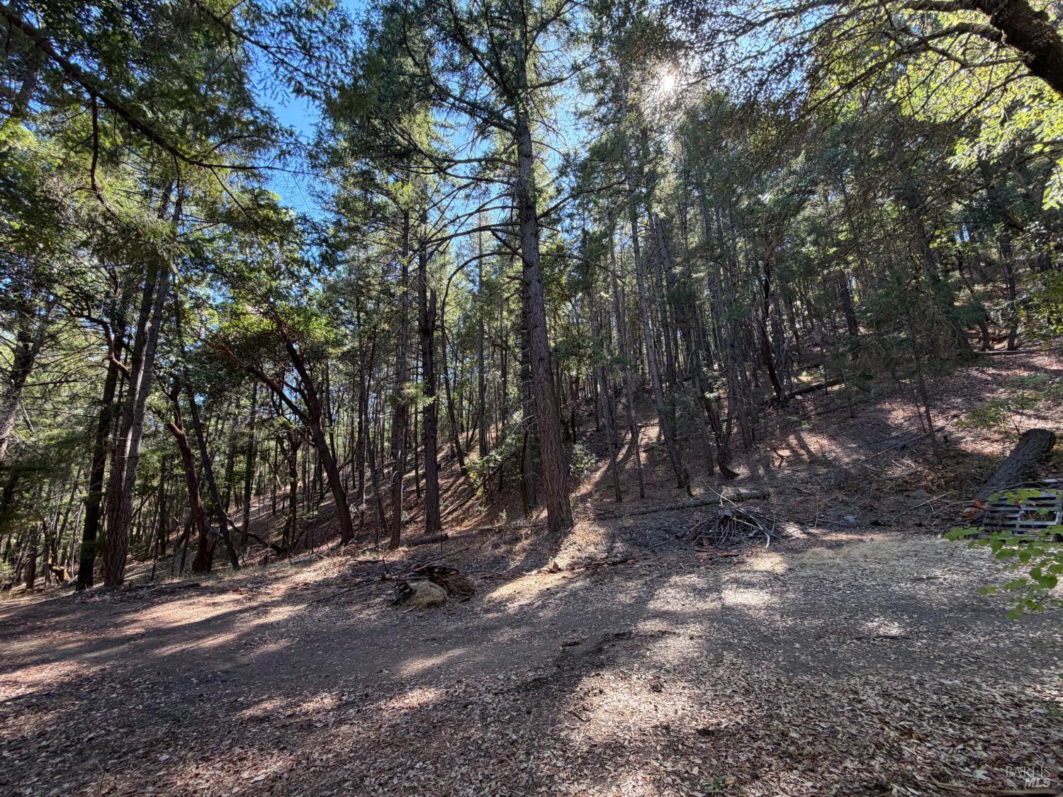 73046 Hill Road Covelo CA 95428