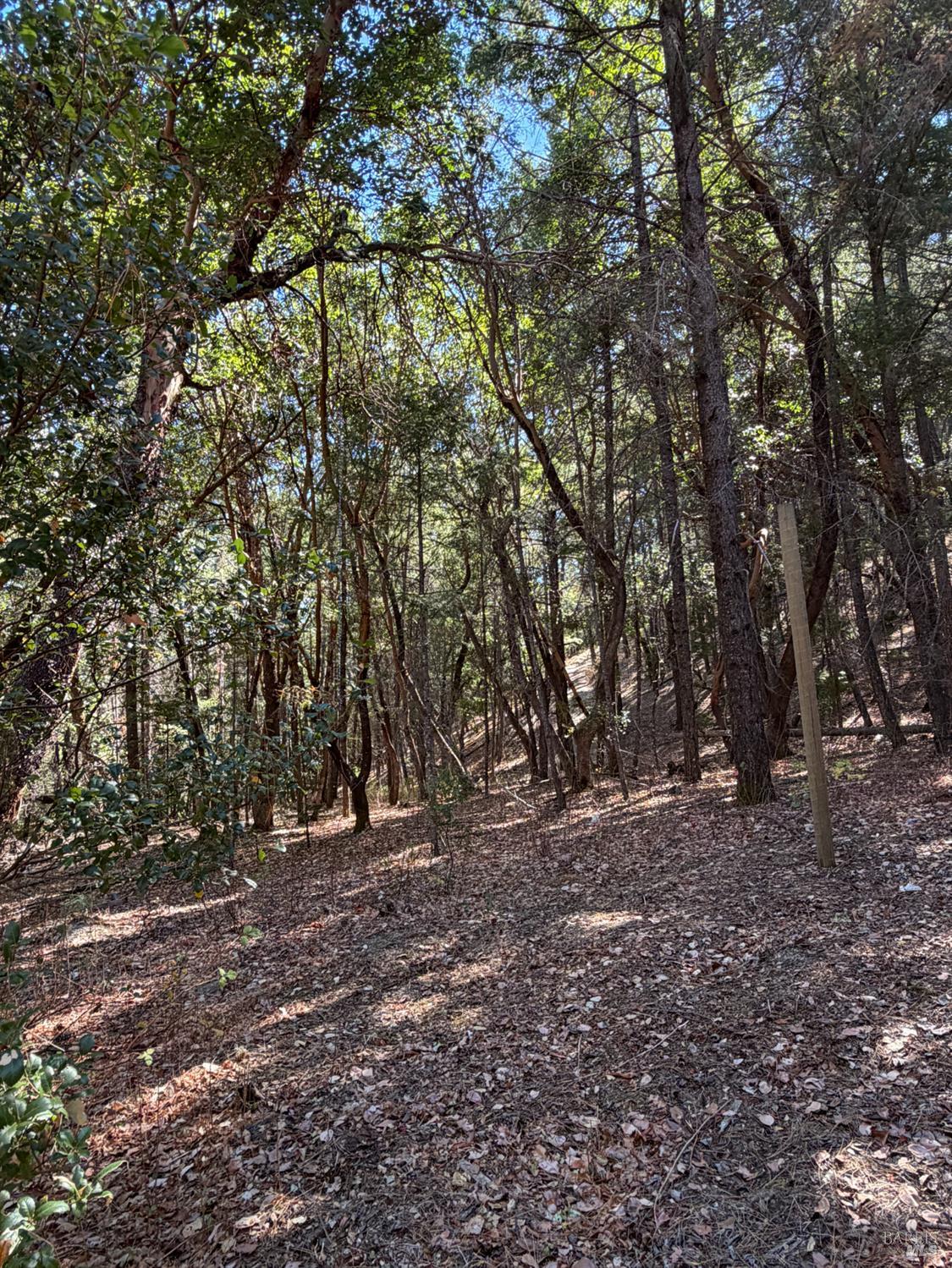 73046 Hill Road Covelo CA 95428