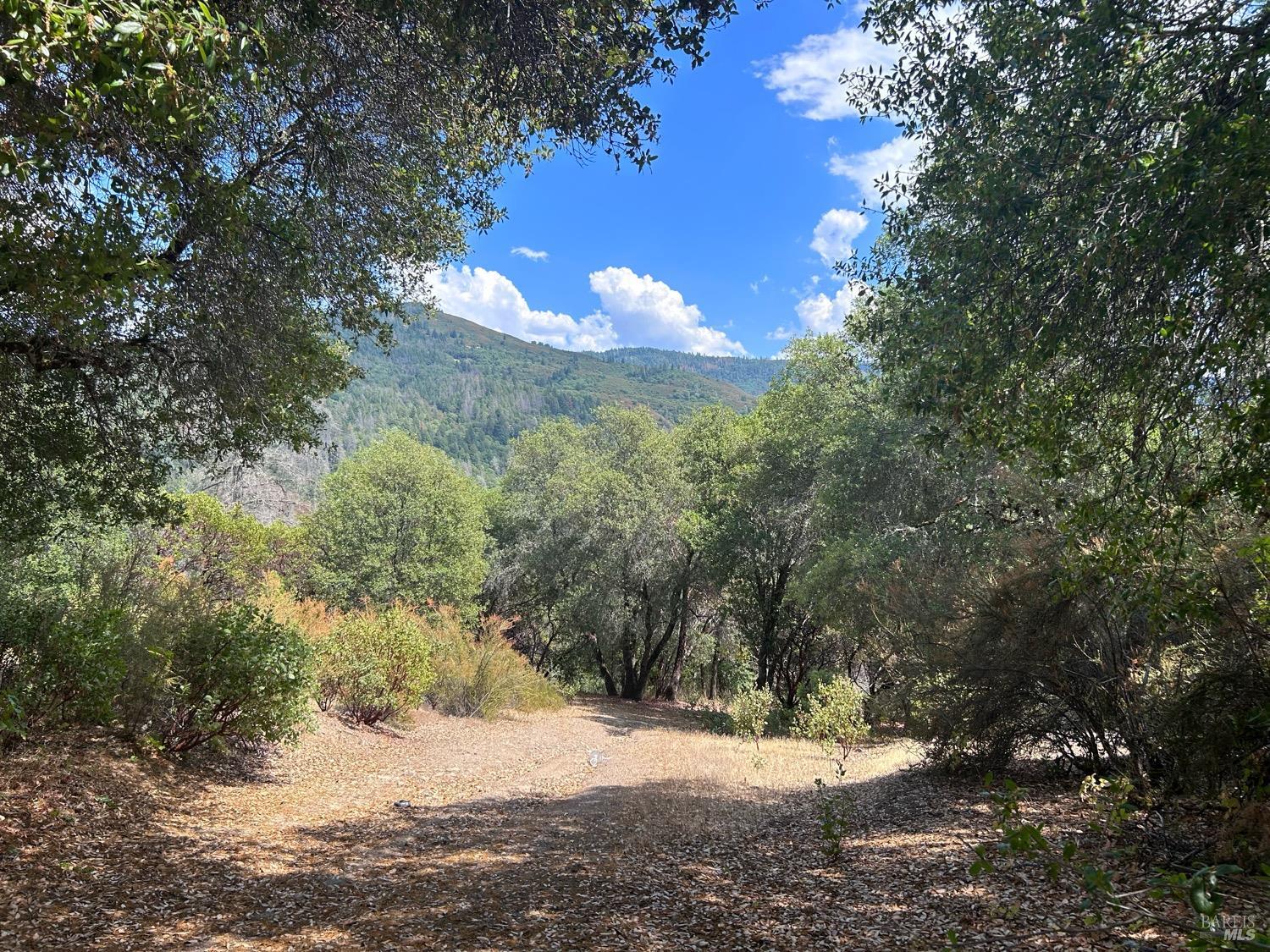 73046 Hill Road Covelo CA 95428