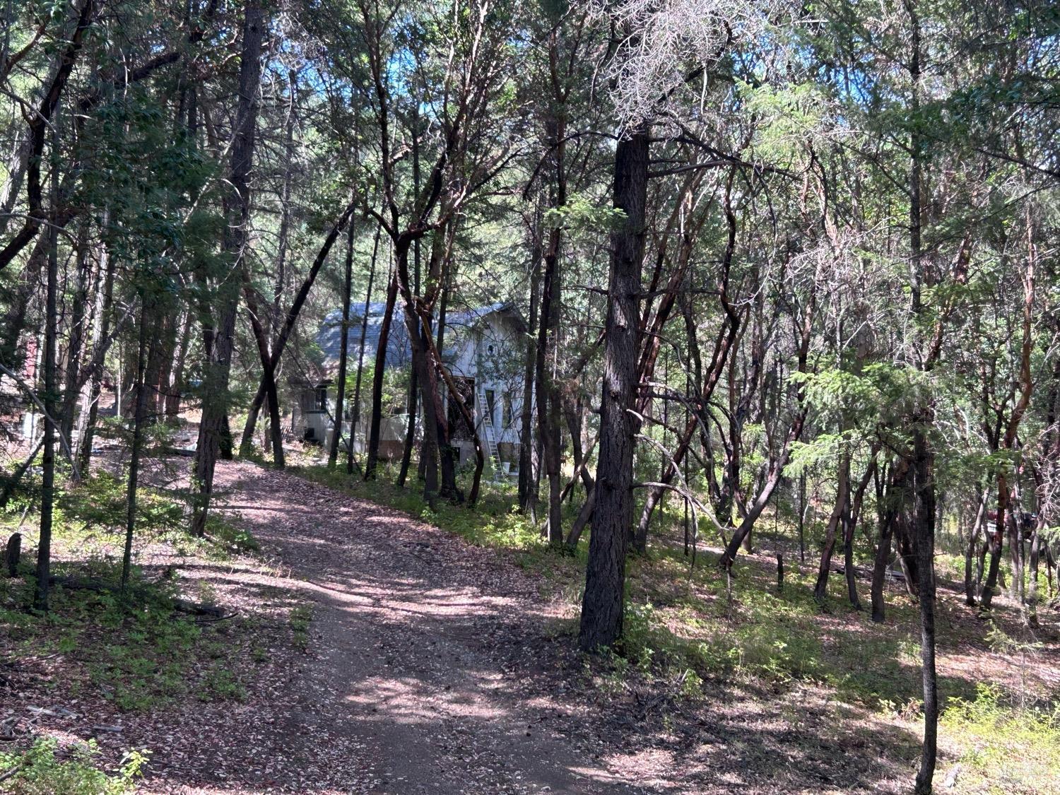 73046 Hill Road Covelo CA 95428
