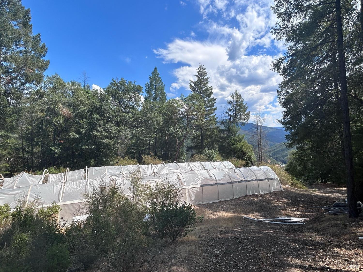 73046 Hill Road Covelo CA 95428