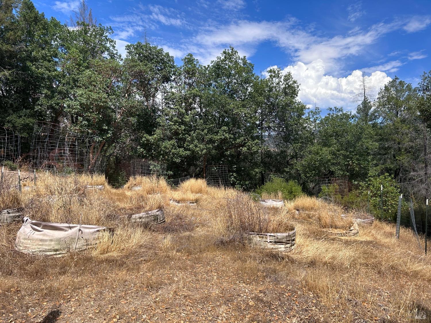 73046 Hill Road Covelo CA 95428