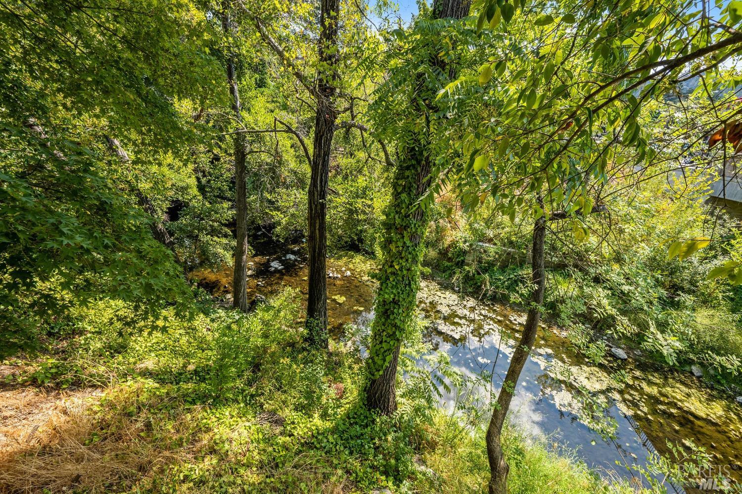 1413 Washington Street Calistoga CA 94515