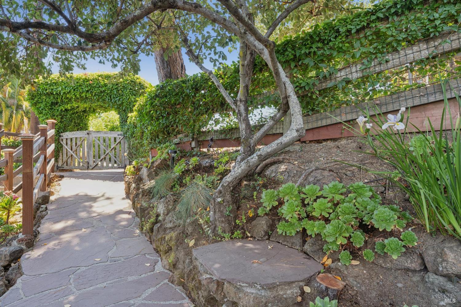 144 Melville Avenue San Anselmo CA 94960