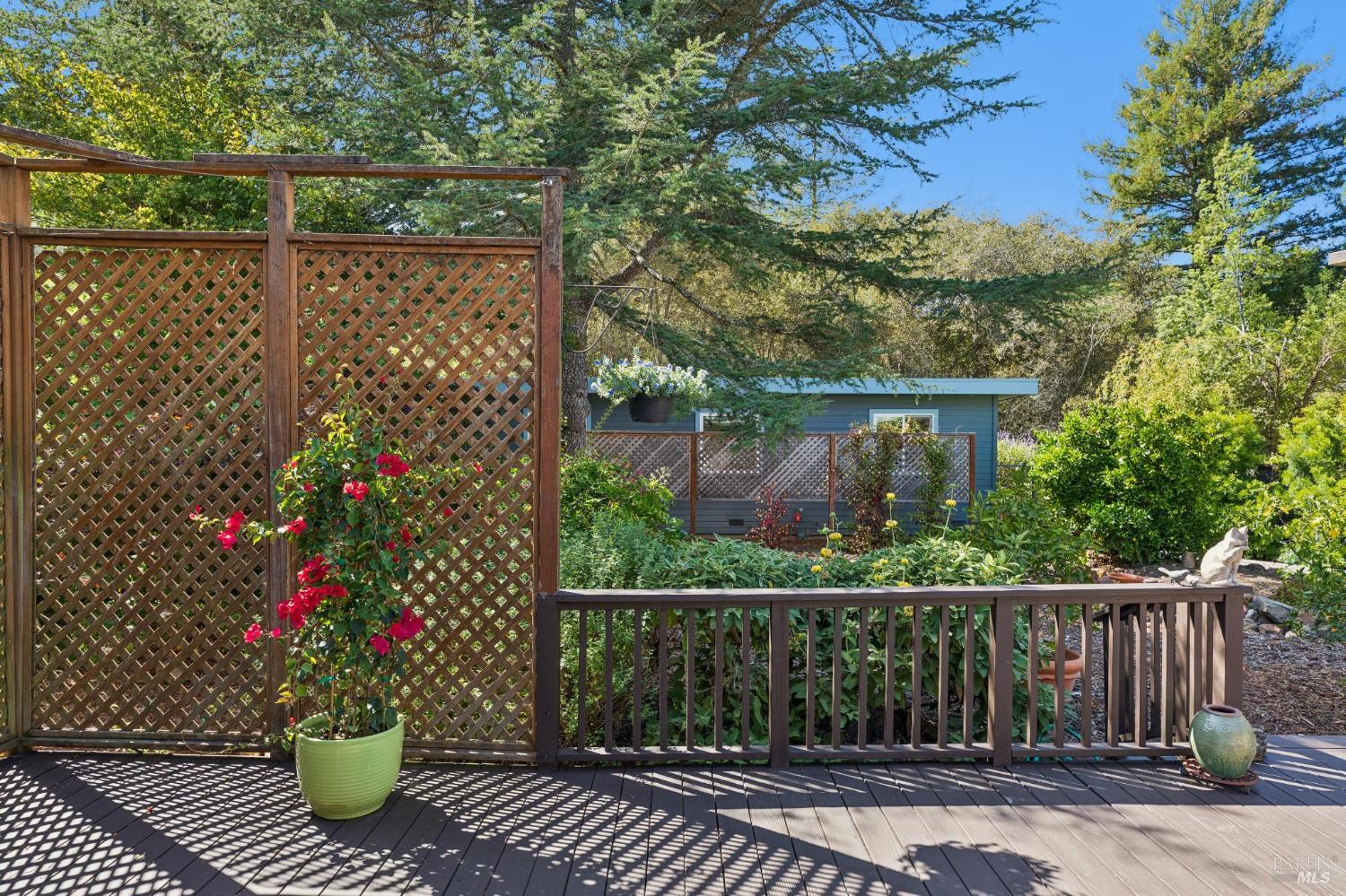 410 Maple Street Mill Valley CA 94941