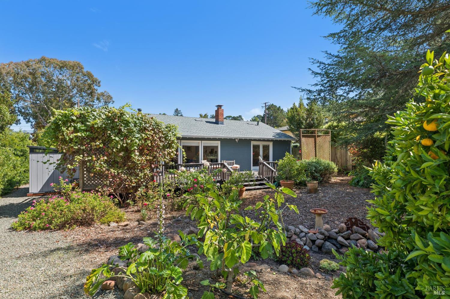410 Maple Street Mill Valley CA 94941