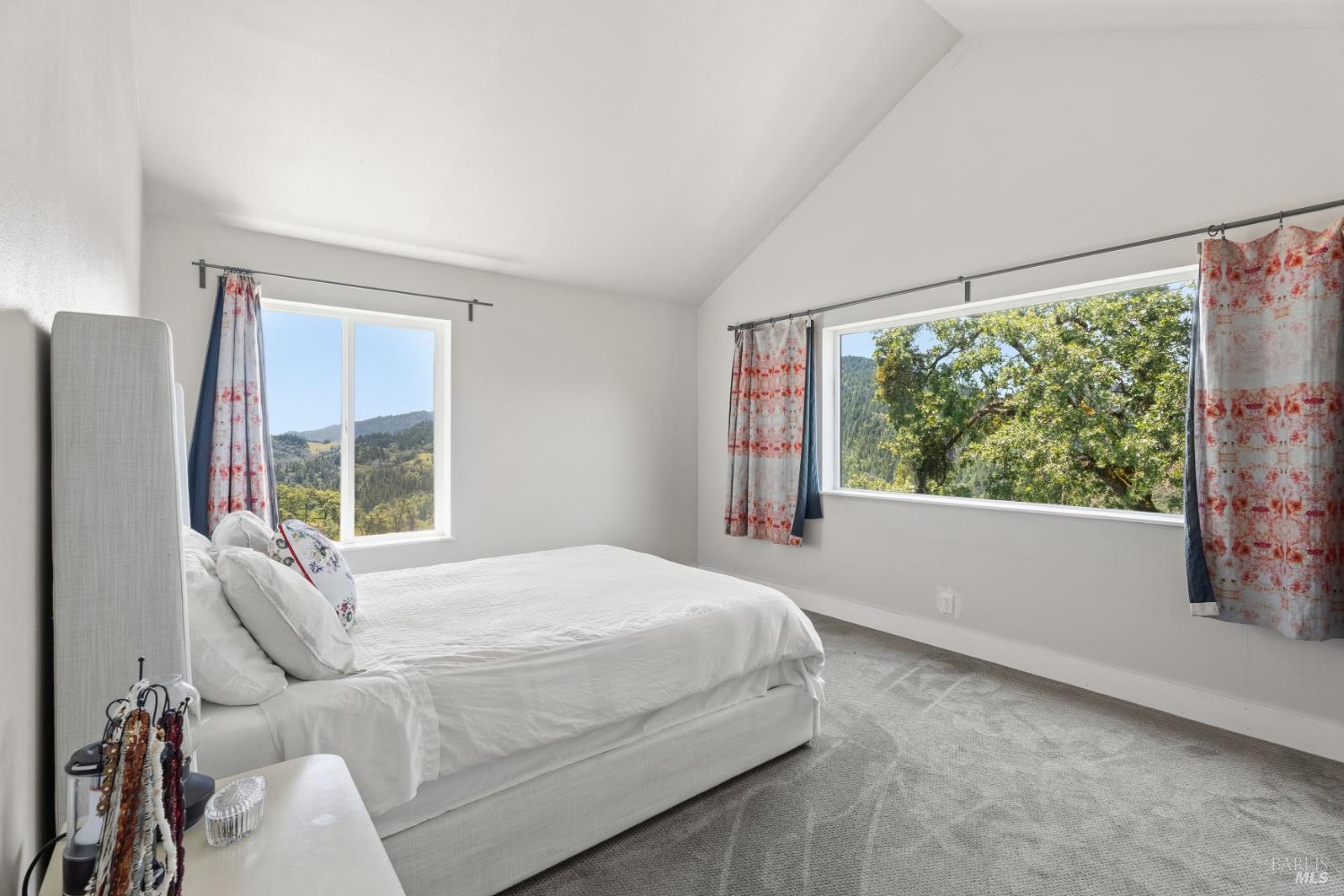 14590 Ridgeview Road Willits CA 95490