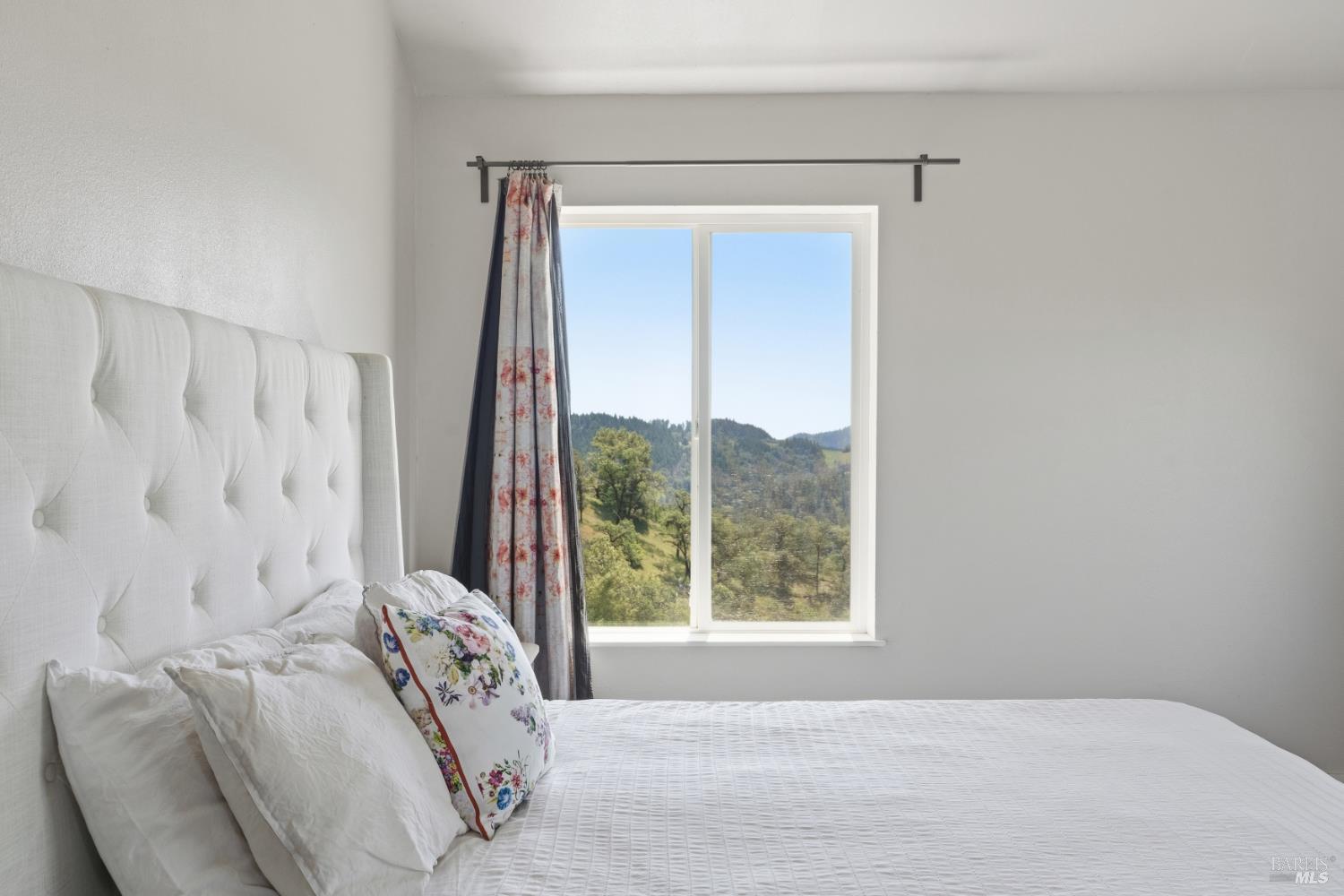 14590 Ridgeview Road Willits CA 95490
