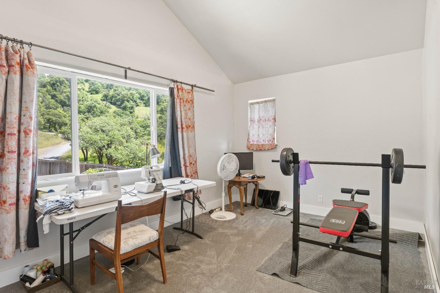 14590 Ridgeview Road Willits CA 95490