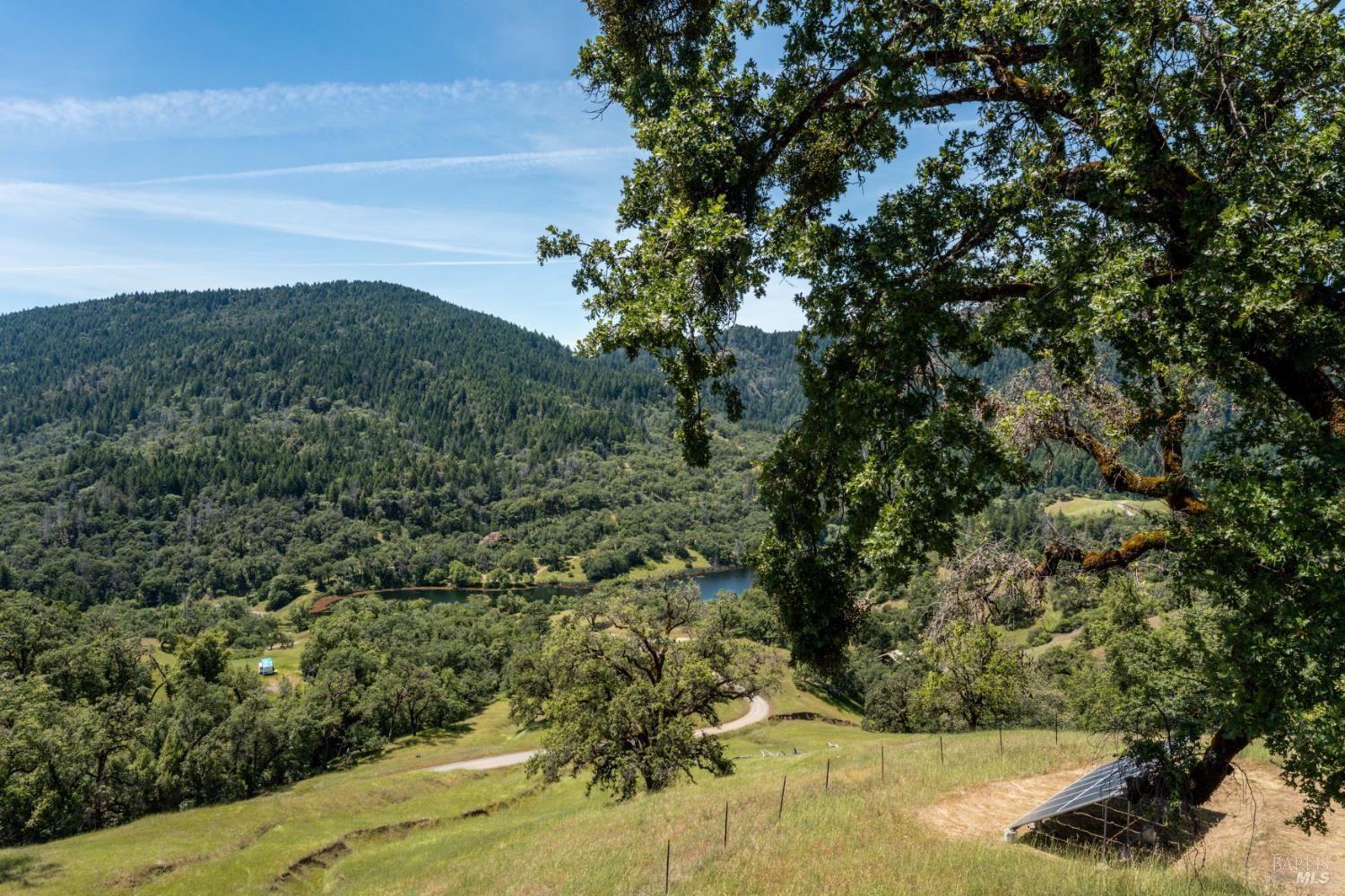 14590 Ridgeview Road Willits CA 95490