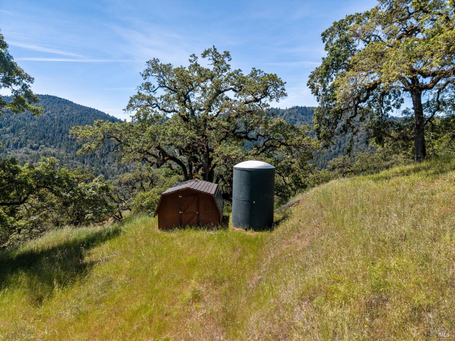 14590 Ridgeview Road Willits CA 95490