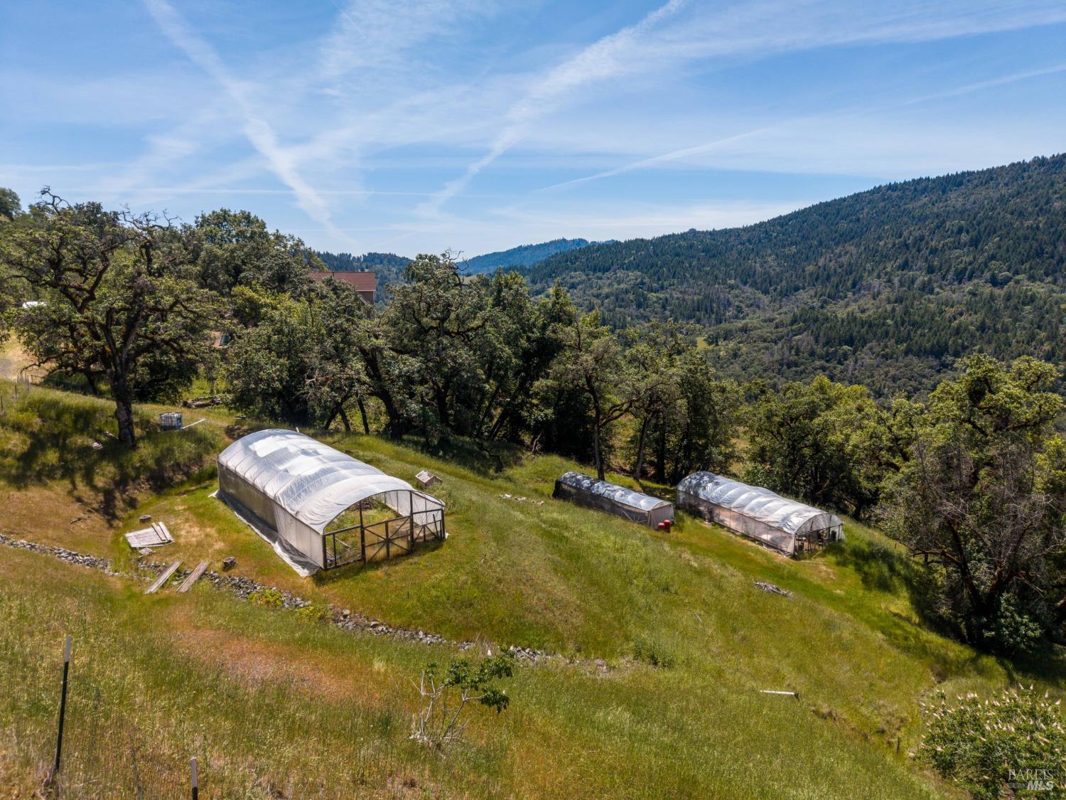 14590 Ridgeview Road Willits CA 95490