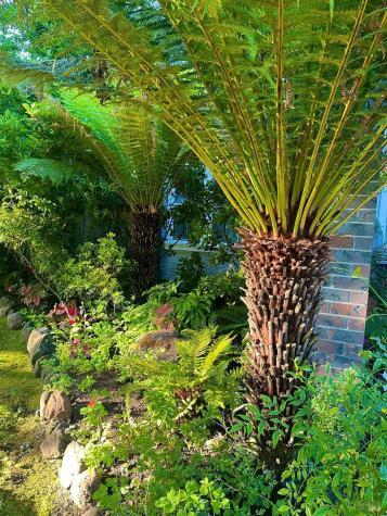 4604 Parktrail Court Santa Rosa CA 95405