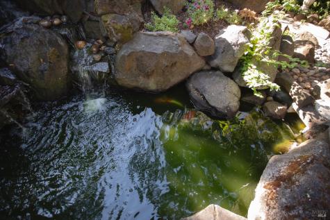 4604 Parktrail Court Santa Rosa CA 95405