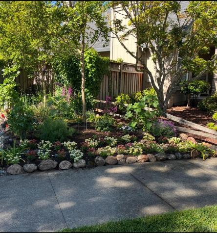 4604 Parktrail Court Santa Rosa CA 95405