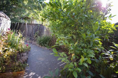 4604 Parktrail Court Santa Rosa CA 95405