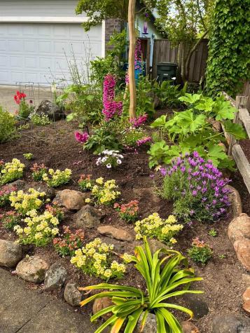 4604 Parktrail Court Santa Rosa CA 95405