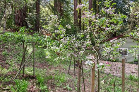 12480 Fiori Lane Sebastopol CA 95472