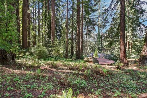 12480 Fiori Lane Sebastopol CA 95472