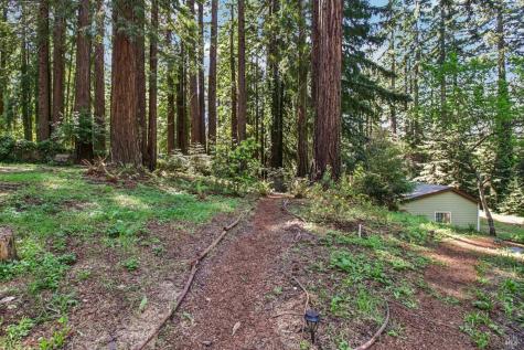 12480 Fiori Lane Sebastopol CA 95472