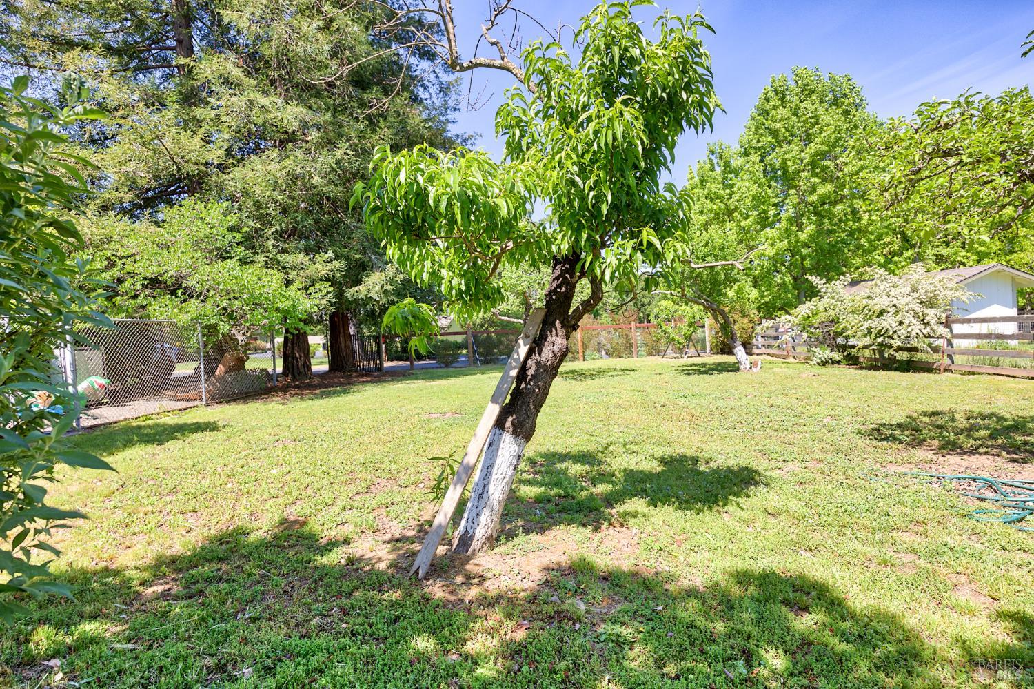 6282 Melita Road Santa Rosa CA 95409