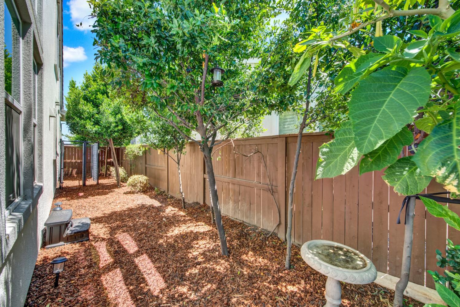 1416 Hammond Woodland CA 95776