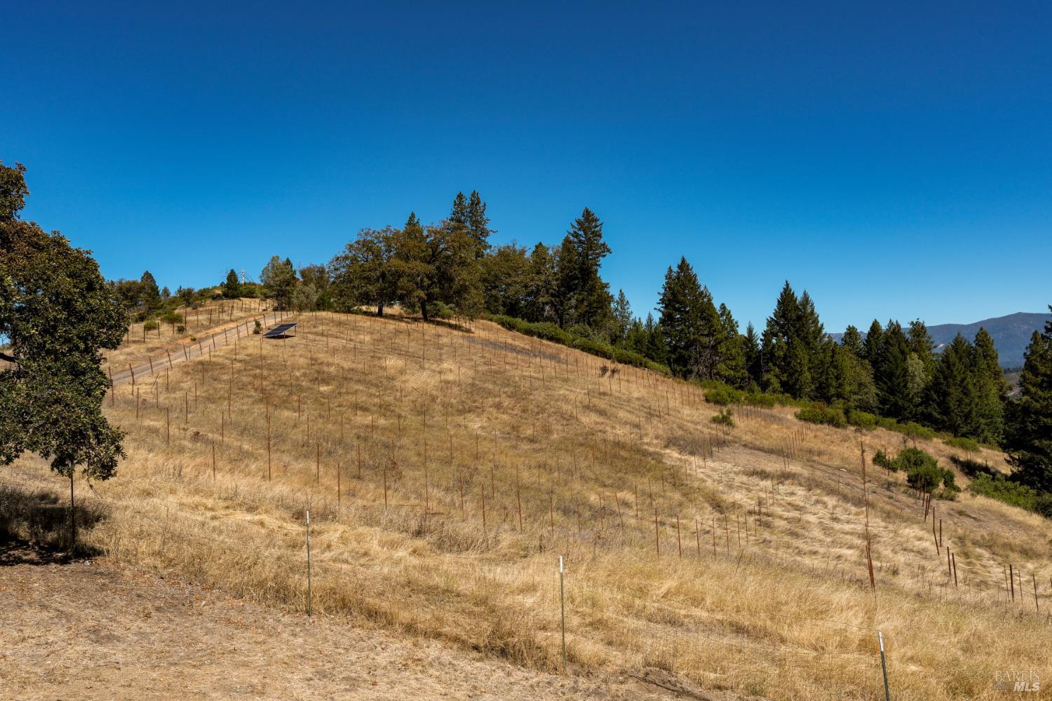 Redwood Valley CA 95470