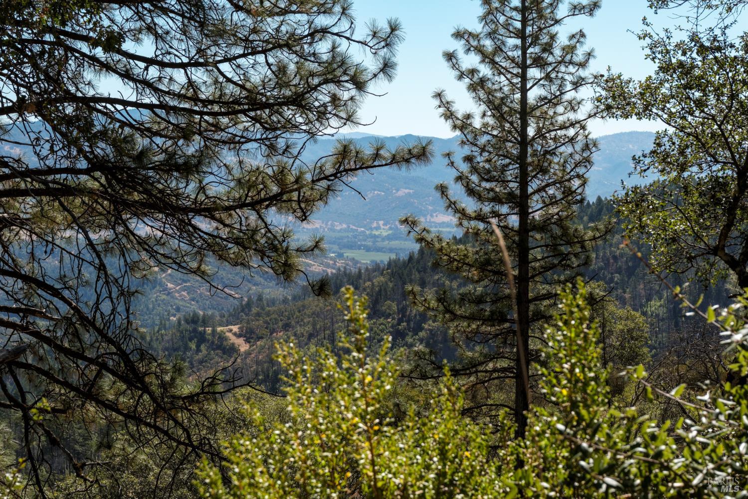 Redwood Valley CA 95470