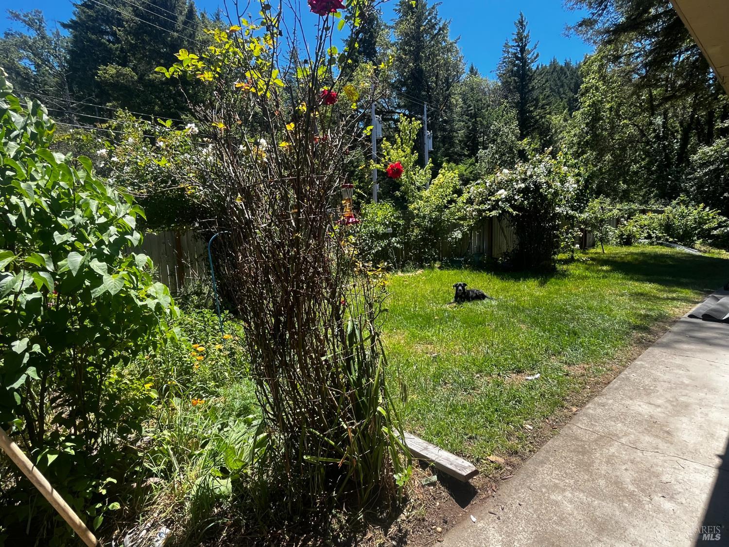1700 Ca-20 Highway Willits CA 95490