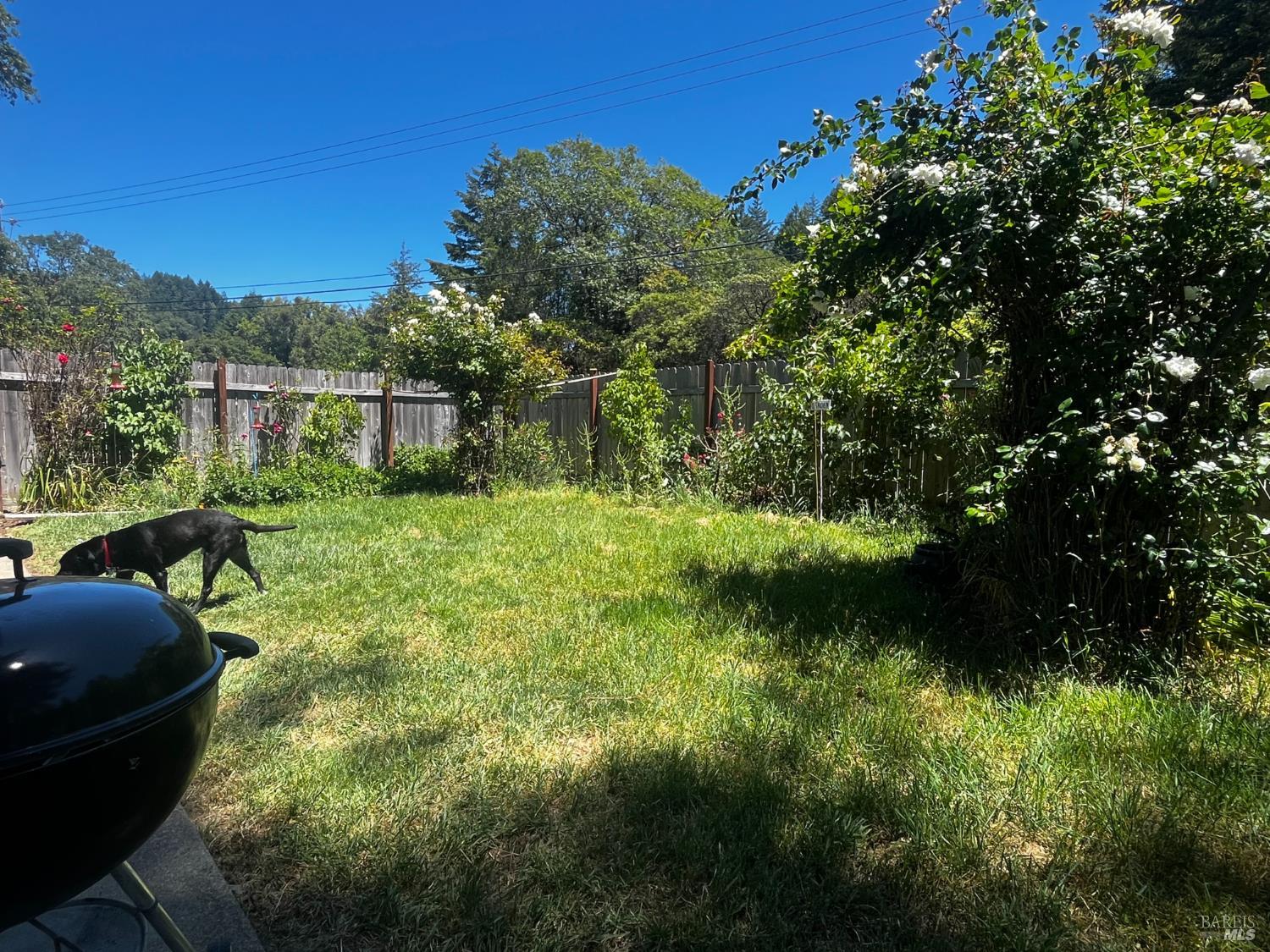 1700 Ca-20 Highway Willits CA 95490