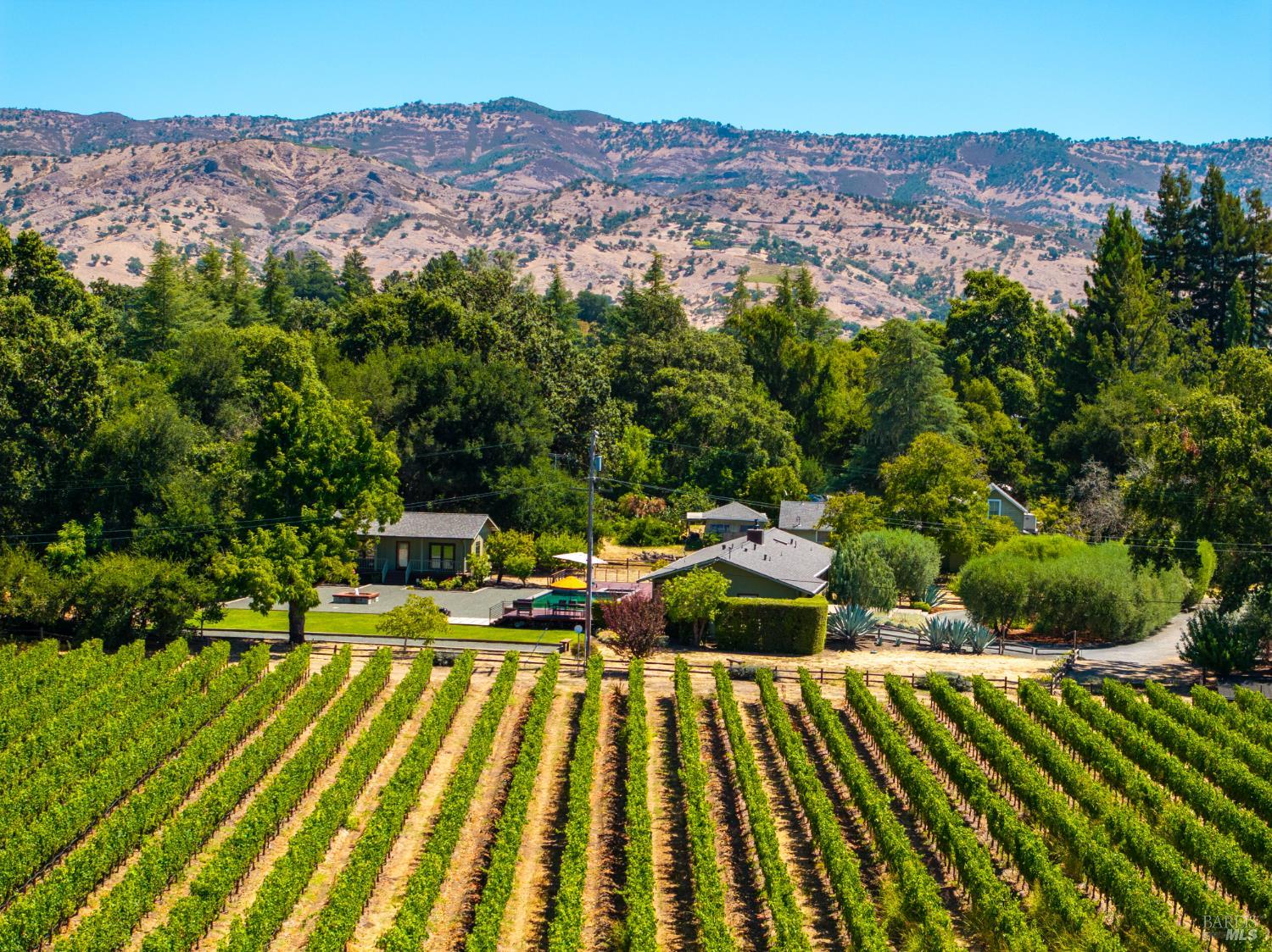 1146 Ragatz Lane Napa CA 94558
