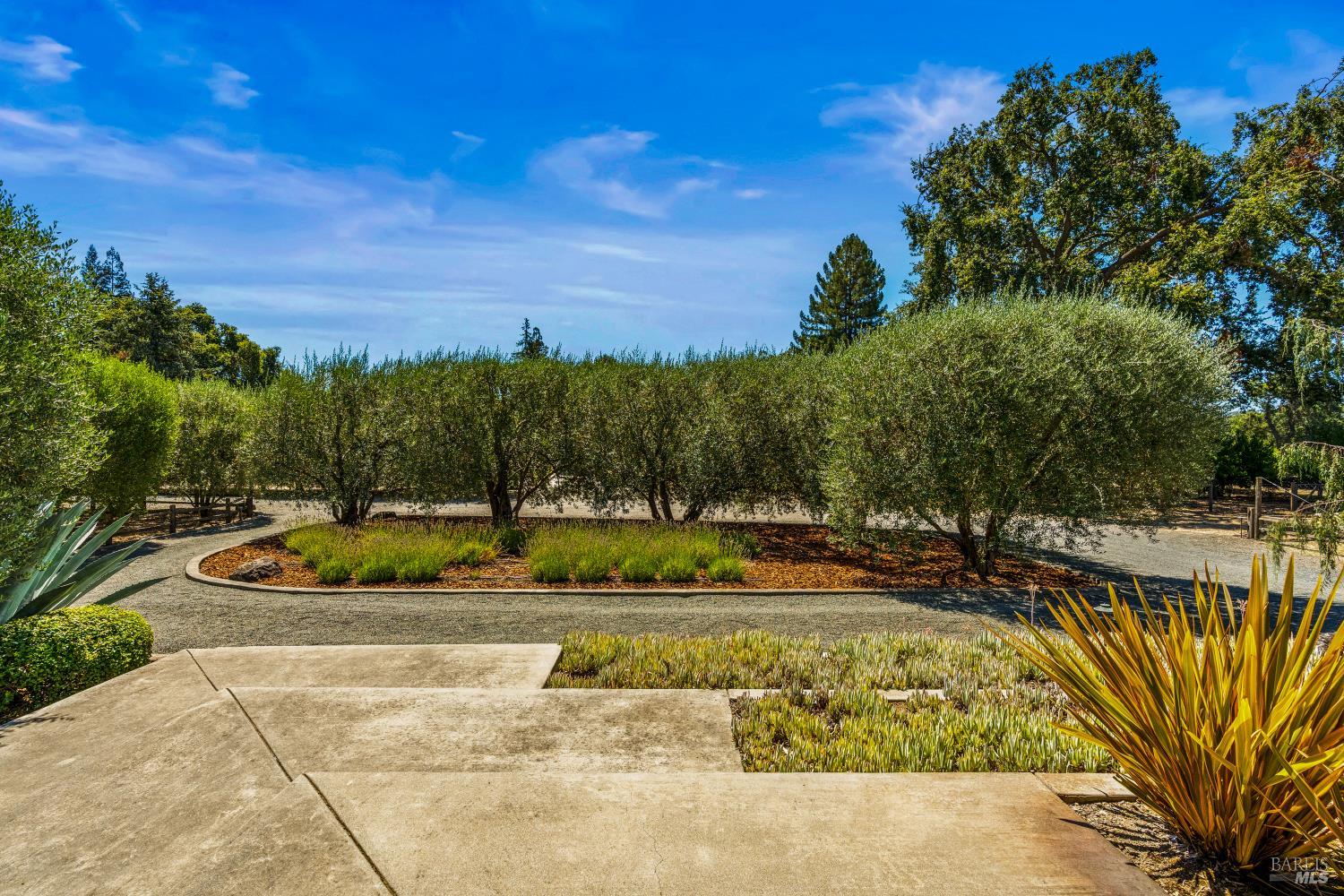 1146 Ragatz Lane Napa CA 94558