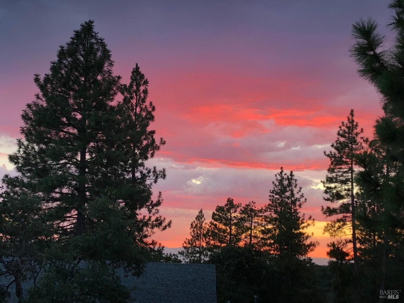 6360 Wilson Hill Road Shingletown CA 96088