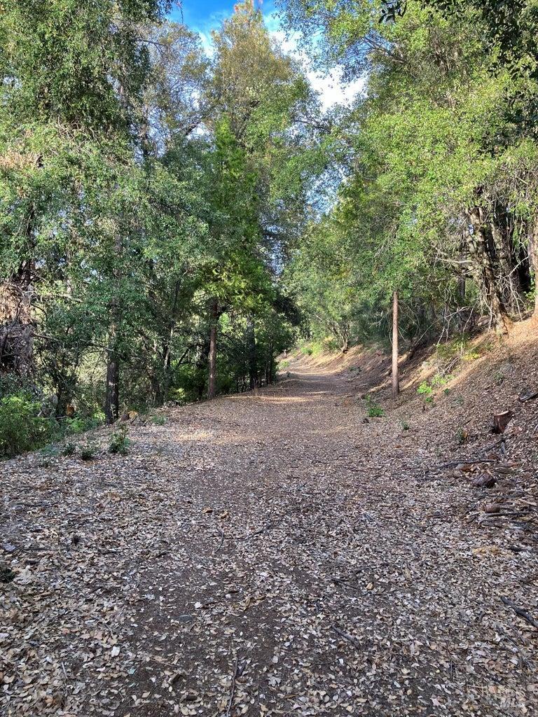 6360 Wilson Hill Road Shingletown CA 96088