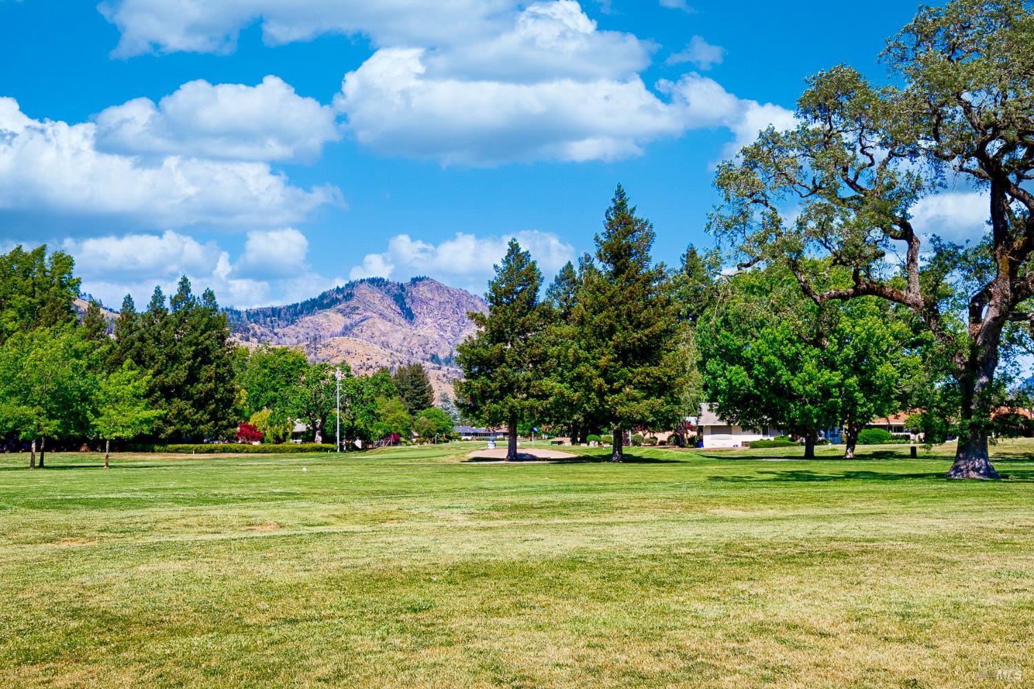 447 Meadowgreen Drive Santa Rosa CA 95409
