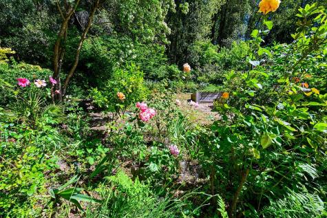 683 Wagnon Road Sebastopol CA 95472