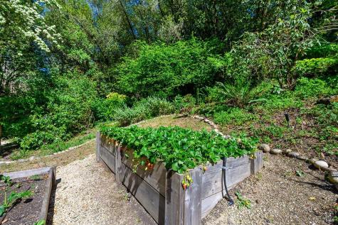 683 Wagnon Road Sebastopol CA 95472