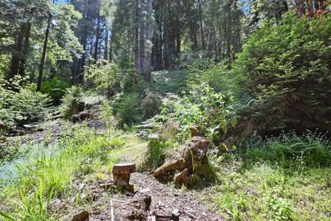 21713 Starrett Hill Drive Monte Rio CA 95462