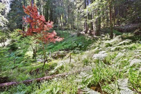 21713 Starrett Hill Drive Monte Rio CA 95462