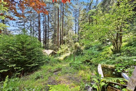 21713 Starrett Hill Drive Monte Rio CA 95462