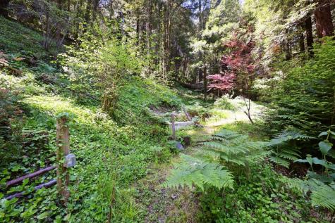 21713 Starrett Hill Drive Monte Rio CA 95462