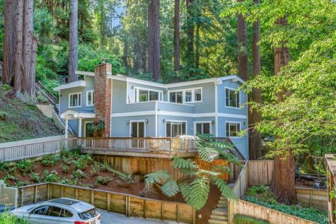 66 Molino Avenue Mill Valley CA 94941