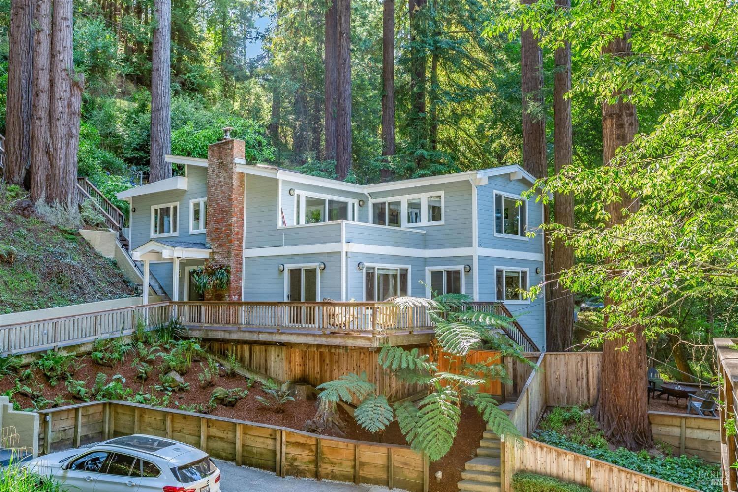 66 Molino Avenue Mill Valley CA 94941